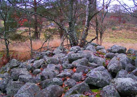 Fornlämningar i närheten vittnar om gårdens förhistoriska traditioner. I ättehagen, järnåldersgravfältet sjuttiofem meter nordväst om gårdsbyggnaderna, begravdes vikingatidens långängsbor.